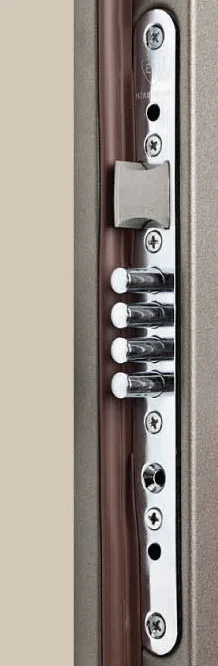 RB multi-point lock with several bolts